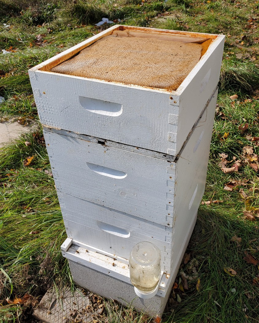Top Hive Insulation Quilt